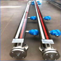 帶報(bào)警磁翻板液位計(jì)